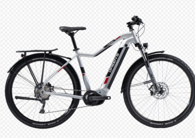 E-Bike Corwen F625